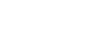 Criminal Litigation